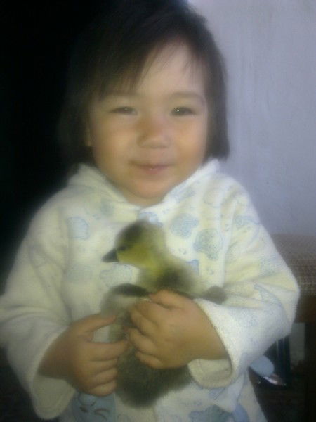 Фарида Мухаметкаримова/старкова