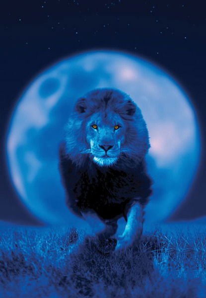 Максим Сергеев