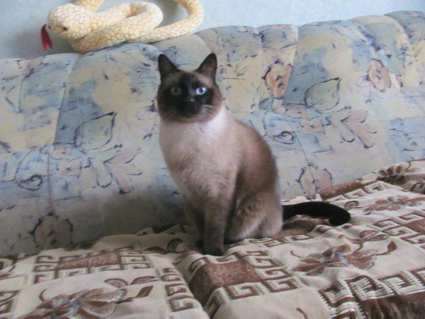 Людмила Людмилка