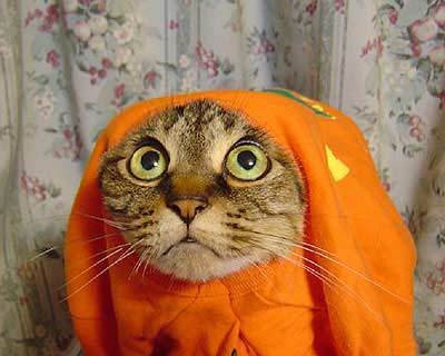 Галина Тимохова