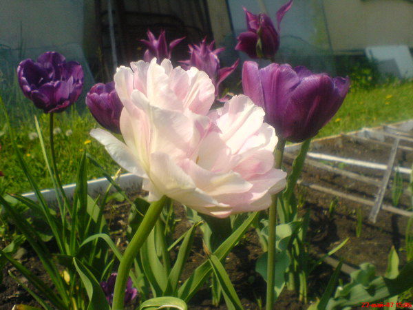 Марина Маркова