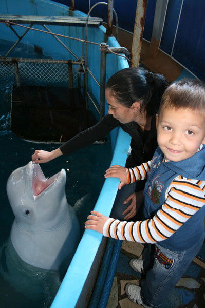 Ника Хасанова