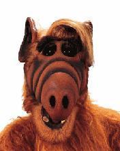 Анастасия Шкурова