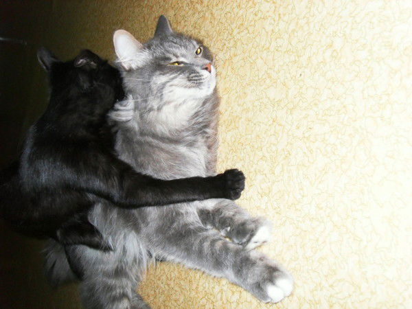 Наталья Мамедова