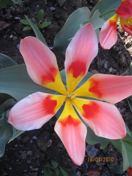 Сергей Котляров