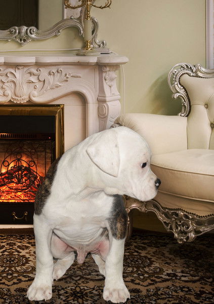 Юлия Салова