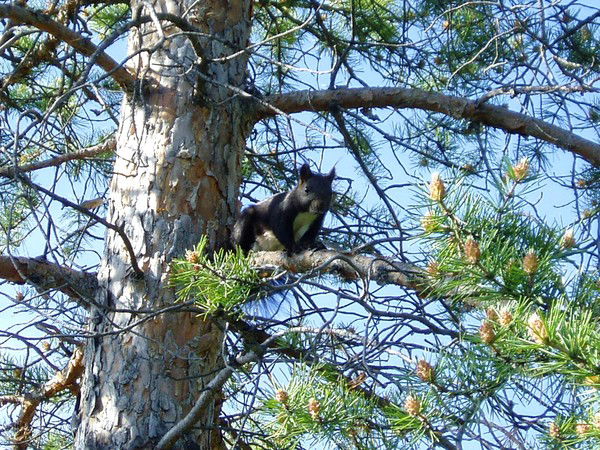 Татьяна *********