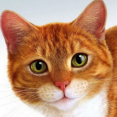 Настя Гурьянова