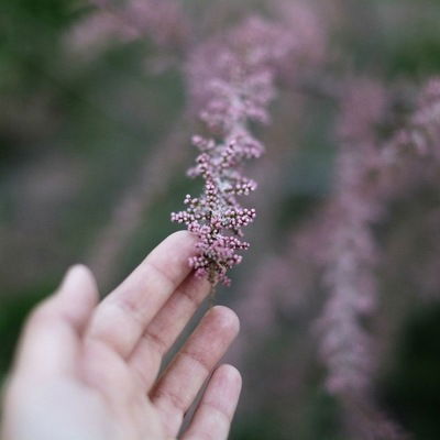 Лера Михута