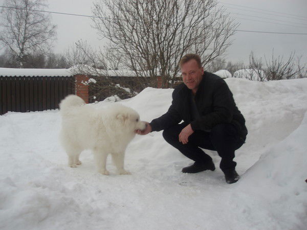 Александр Самойлов