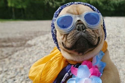 Татьяна Грицаева