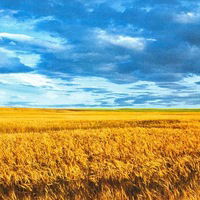 Александр Безгубый