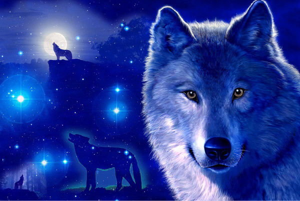 Александр Кривоносов