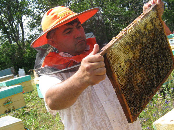 Абдимухтор Карабошев