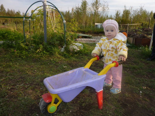 Эдуард Скобелев