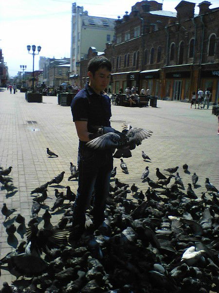 Тимур Айдарбеков