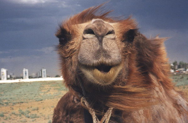 Александр Бордюгов