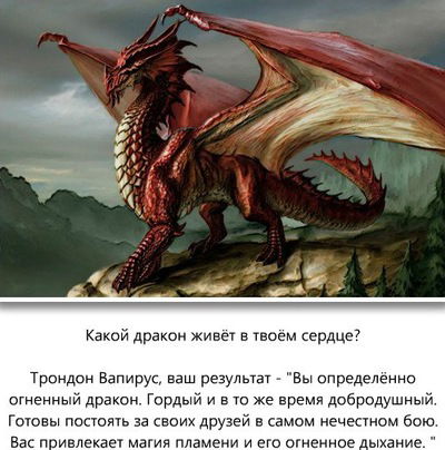 Владислава Борта