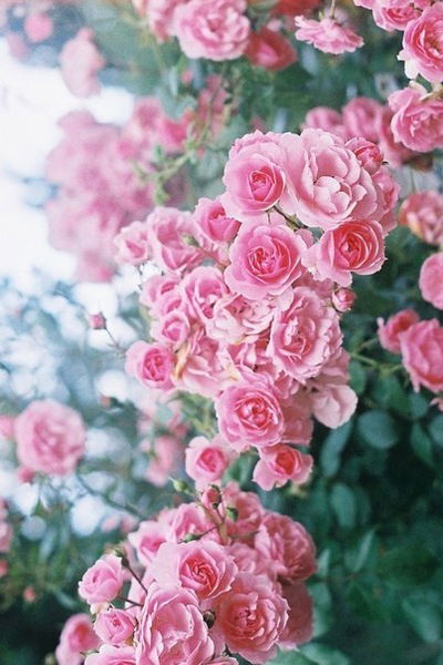 Юля Щербина