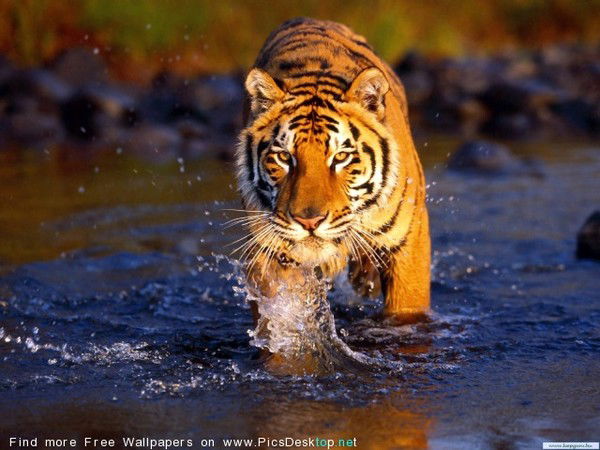 Олег Хрущев