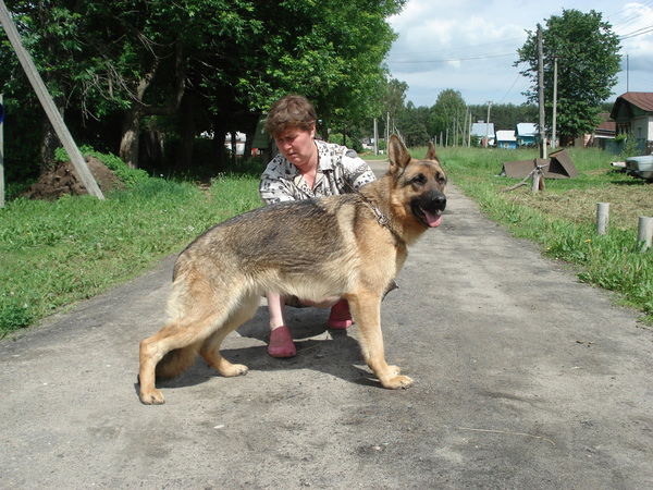 Ирина Абалихина