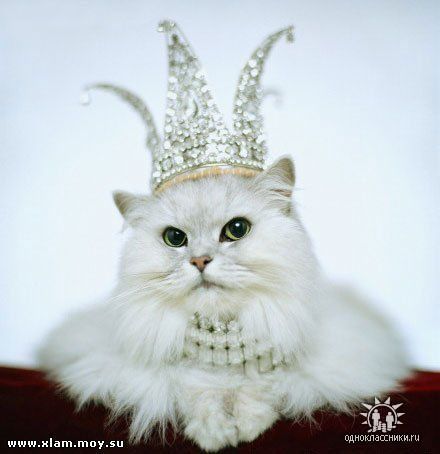 Люда Фабрицкая