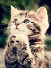 Кира Мадунова