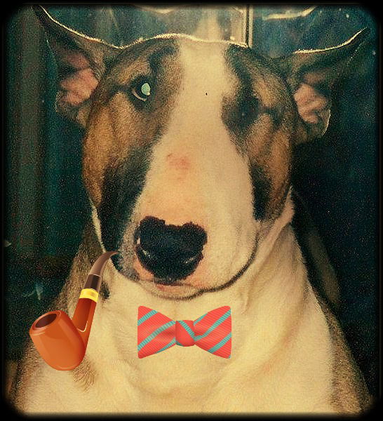 Алексей Алексеевич