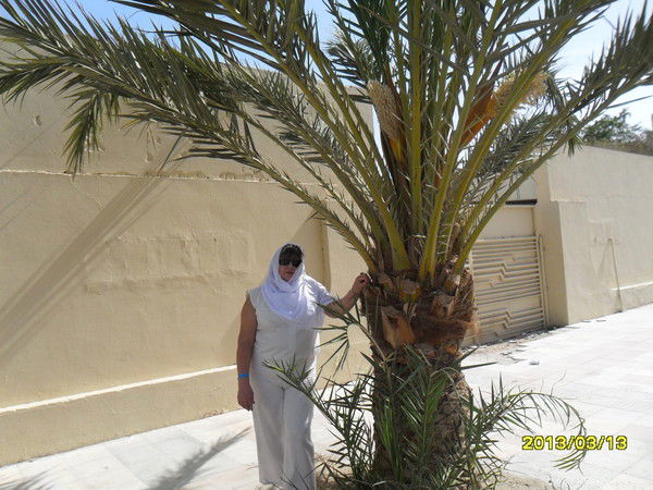 Людмила Поморцева