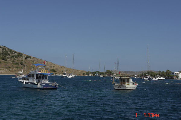 Сергей Скутин