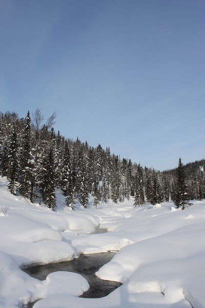 Иван Копылов