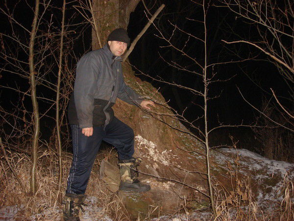 Сергей Николаев