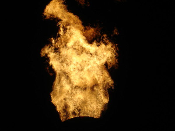 Елена Елена