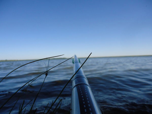 Кольярдо Павлеоне