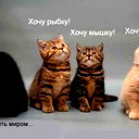 Татьяна Кулешова