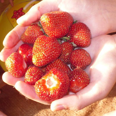 Ольга Самохина