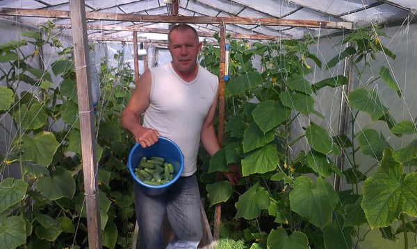 Александр Иванов