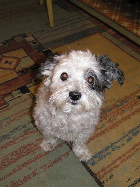 Даутова Земфира