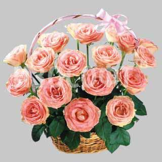 Евгения Иванова