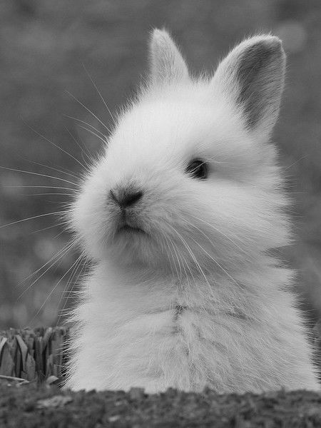 Наталья Поданева