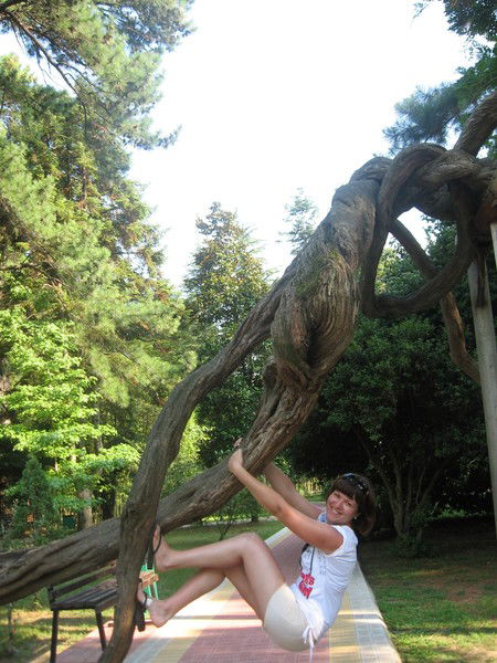 Елена Старостина