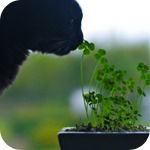 Надежда Илюхина