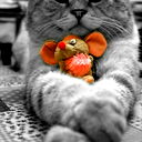 *** N@yk@ ***