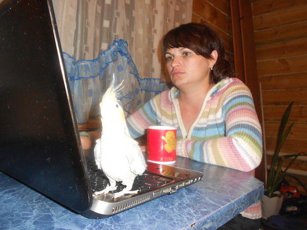 Елена Чиркова