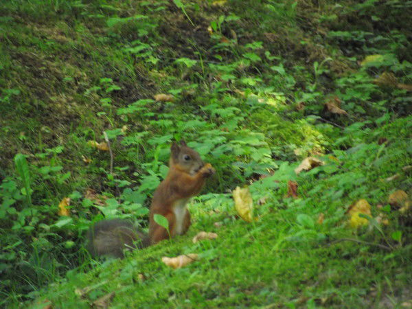 Анна Рудакова