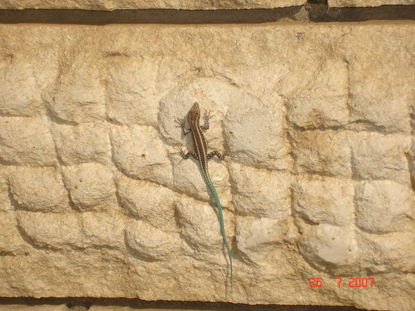 Панин Сергей