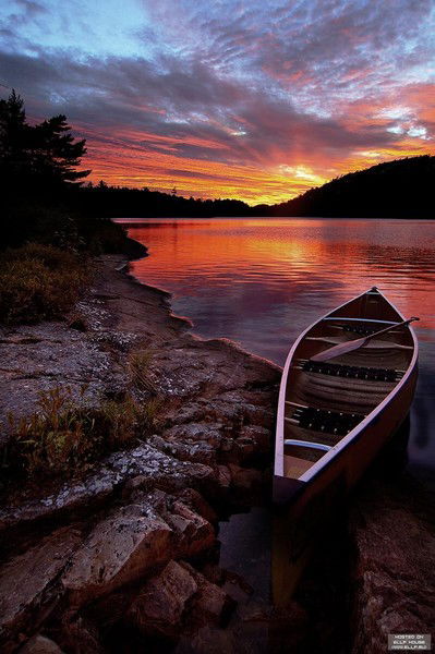 Альфред Ахтямов