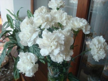 Ольга Гарбуз