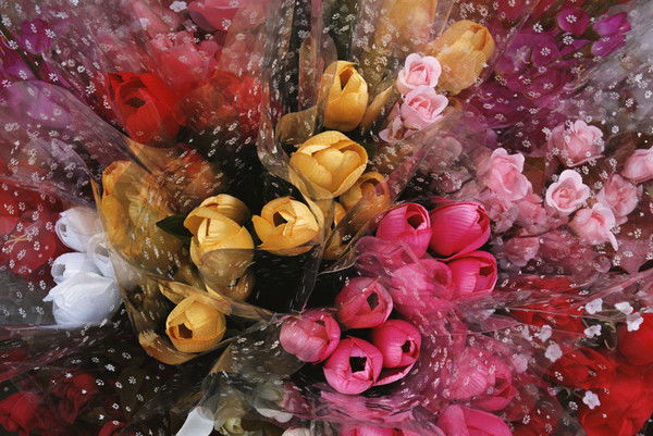 Светлана Давлетова