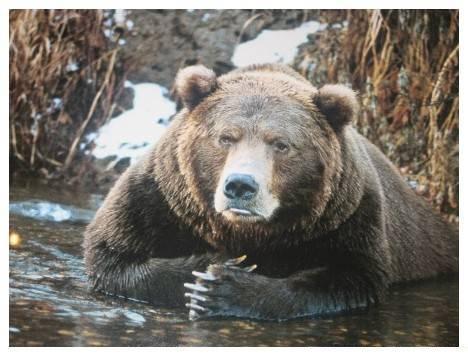 Sergey Терпугов